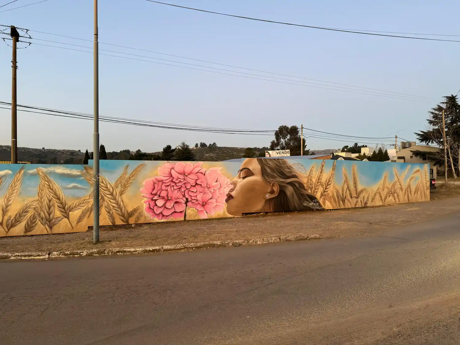 Mural "Bienvenidos a Tandil" de Seba Cener