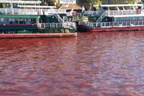 El color rojo del río Tigre estaría vinculado a un «vuelco clandestino»