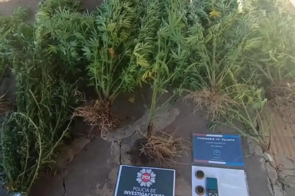 El operativo se realizó en una vivienda ubicada en calle Hipólito Irigoyen entre Belgrano y 9 de Julio.