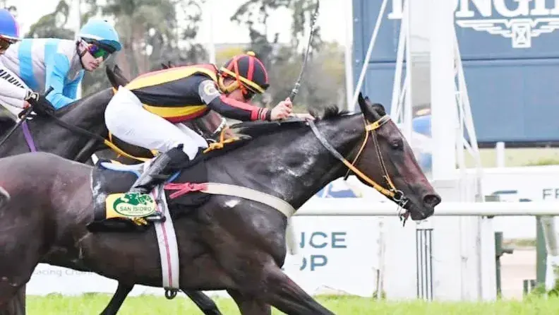 Lissette Island quiere retomar la senda del triunfo en el Clásico México (G3), en la recta de Palermo.