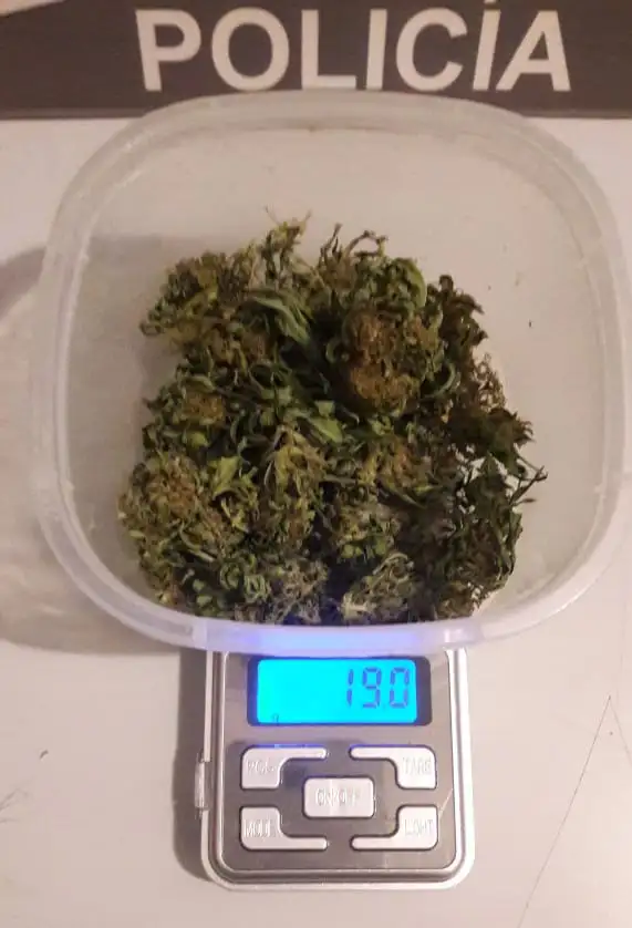 En los operativos de Seguridad Vial de Semana Santa secuestraron marihuana 