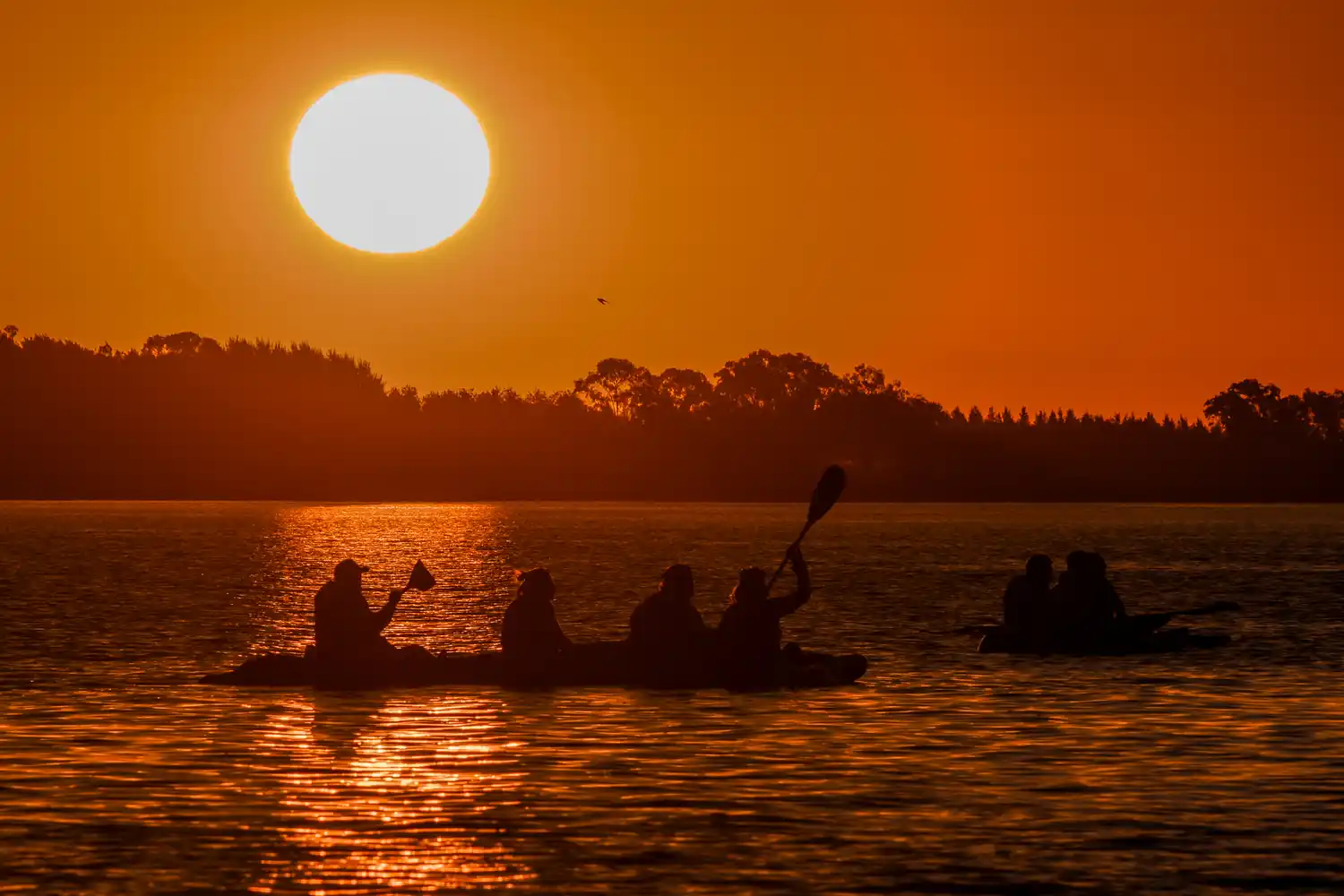 Chascomús se prepara para una nueva "Remada de Luna Llena": la cita será el próximo domingo 1 de febrero
