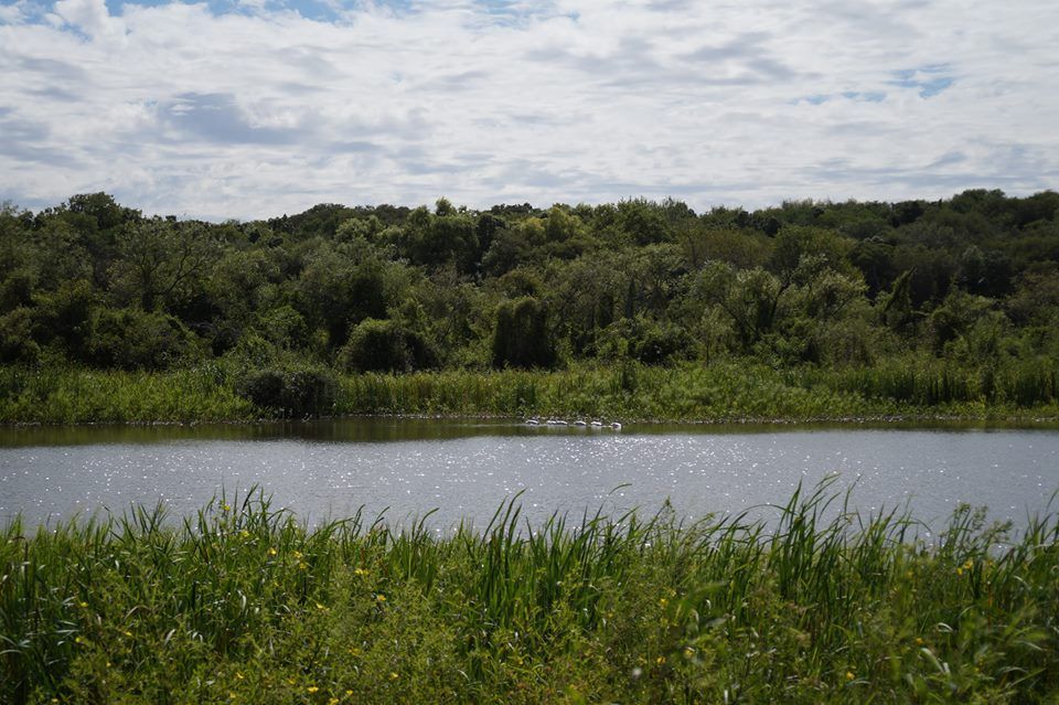 Reabrió el centro de visitantes en el Parque Nacional Pre Delta