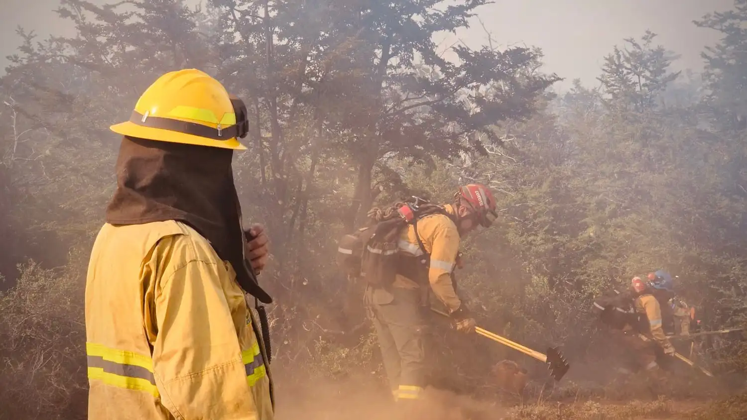 Brigadistas santafesinos luchan contra el fuego en el Sur