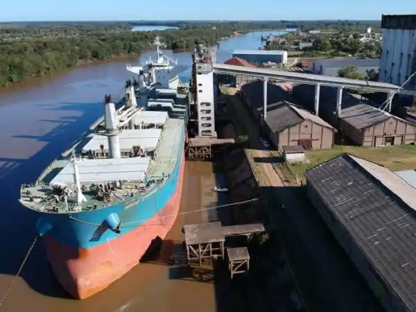 Exportaciones en Entre Ríos: el sector agrícola y de la carne impulsan el crecimiento