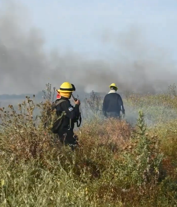 Se consumieron 40 hectáreas en Punta Lara y más de 290 en Tornquist.