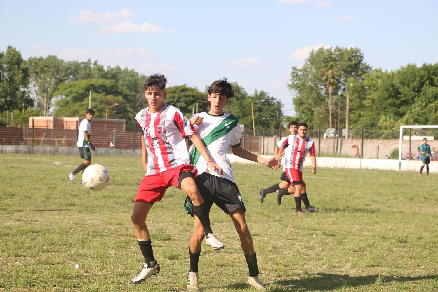 Central Entrerriano clasificó en las tres categorías en el Provincial de Clubes