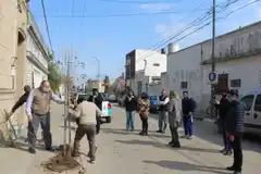 Día del Árbol: Realizaron actividades