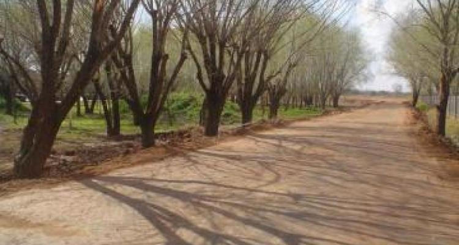 Paseo Público segunda parte