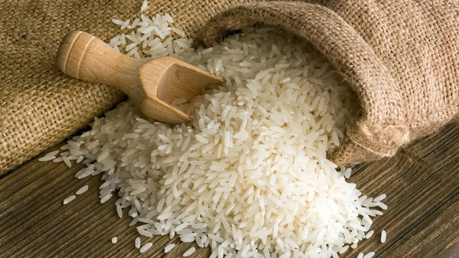 Perspectivas para el arroz en Entre Ríos: fuerte caída en los precios y aumento de costos comprometen la siembra 2025/26