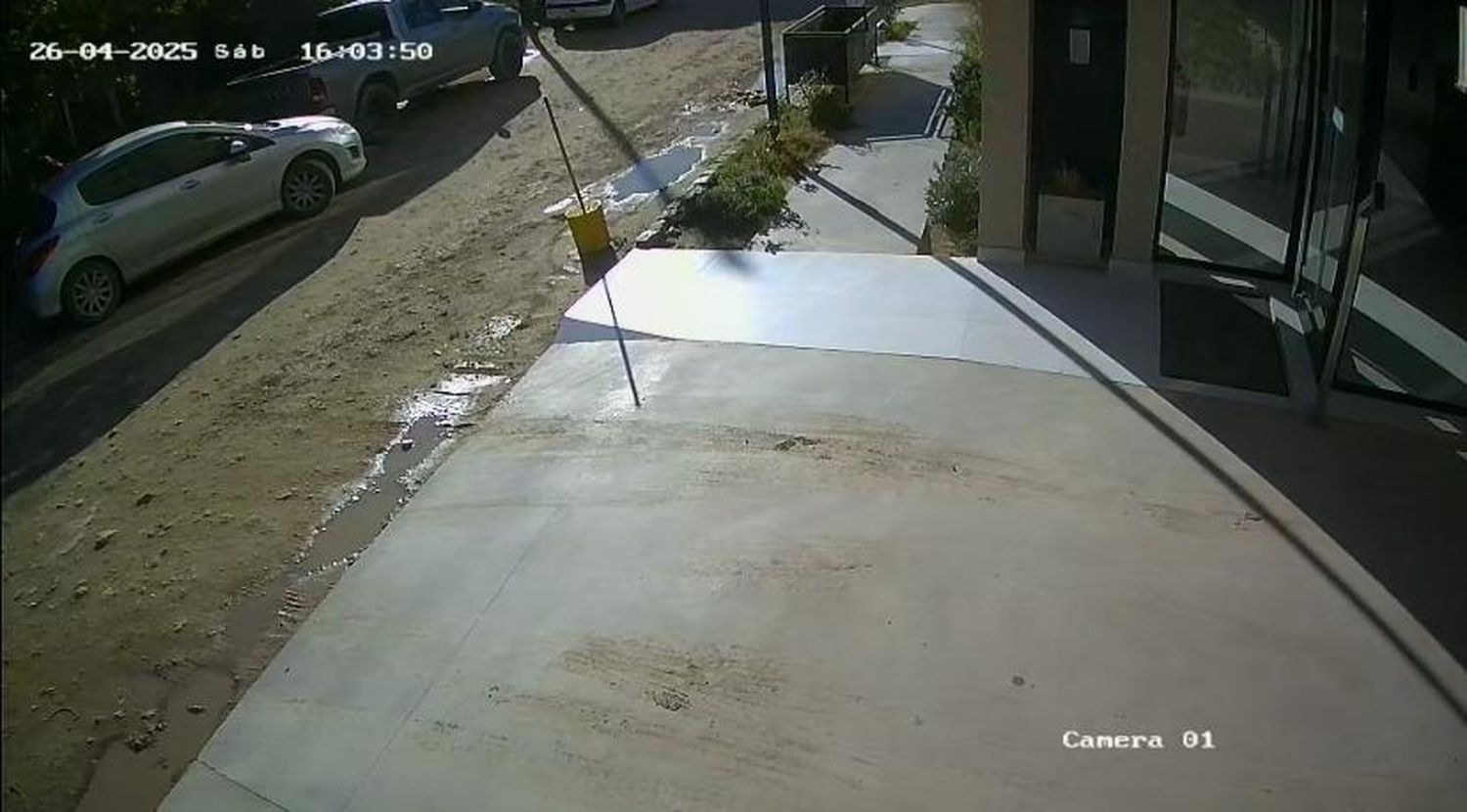 Cámara de seguridad captó el robo de un neumático