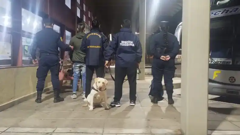 Detuvieron a un pasajero con drogas en el micro en una terminal de Entre Ríos