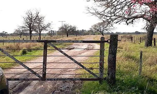 Sin pistas del robo en el campo del productor Néstor Mailland