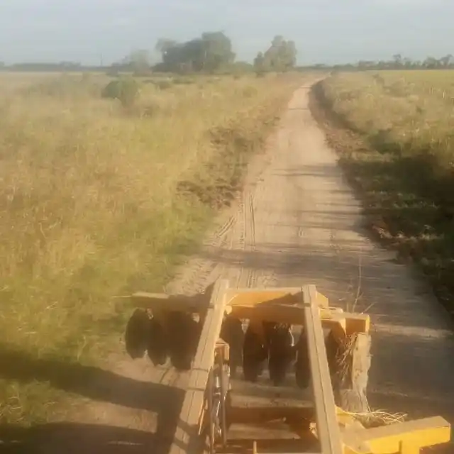 Estación Lazo realiza mantenimiento de cunetas en distintos tramos rurales