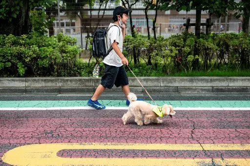 ¿Cómo así? Crean patrulla de perros en Tokio (+ Fotos)