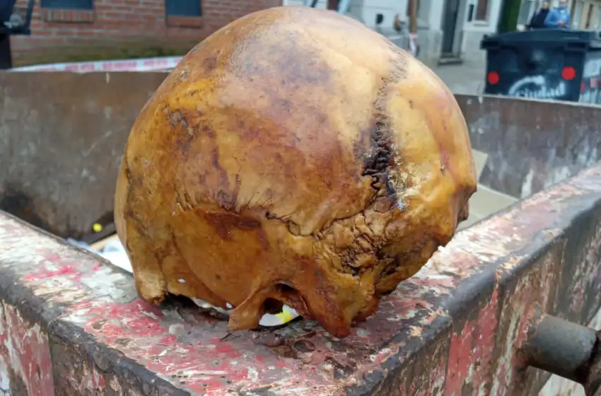 Estremecedor: hallaron restos óseos en un contenedor