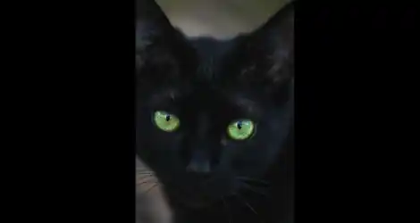 Buscan a Luna