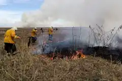 Incendios: Entre Ríos es la segunda provincia más impactada