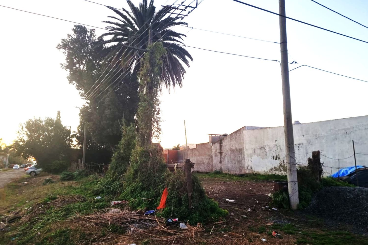 terreno colón y noseda