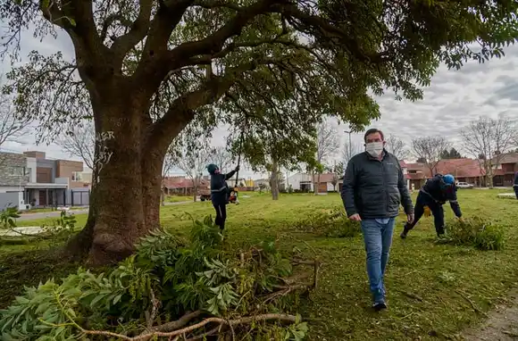 Video: retiran 78 toneladas de basura de un barrio en Mar del Plata