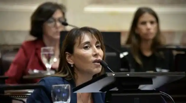 "Enfermo mental": la polémica frase de una senadora contra Milei