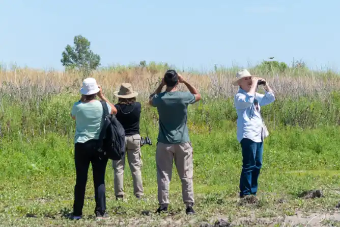 Celebración del Día Nacional del Ave y primer aniversario del Biguá como Ave Emblema de Chascomús