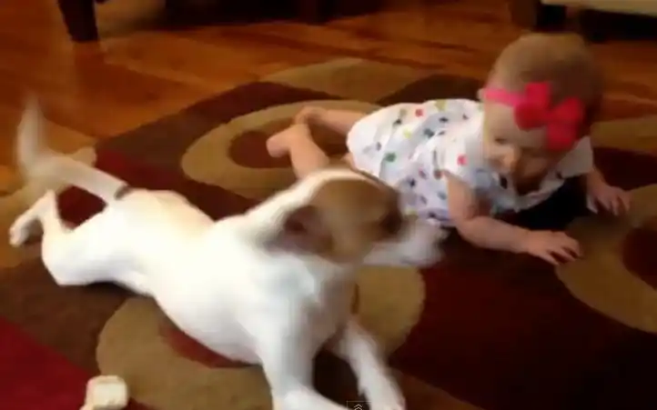 Un gran amigo le enseña a un bebé a gatear