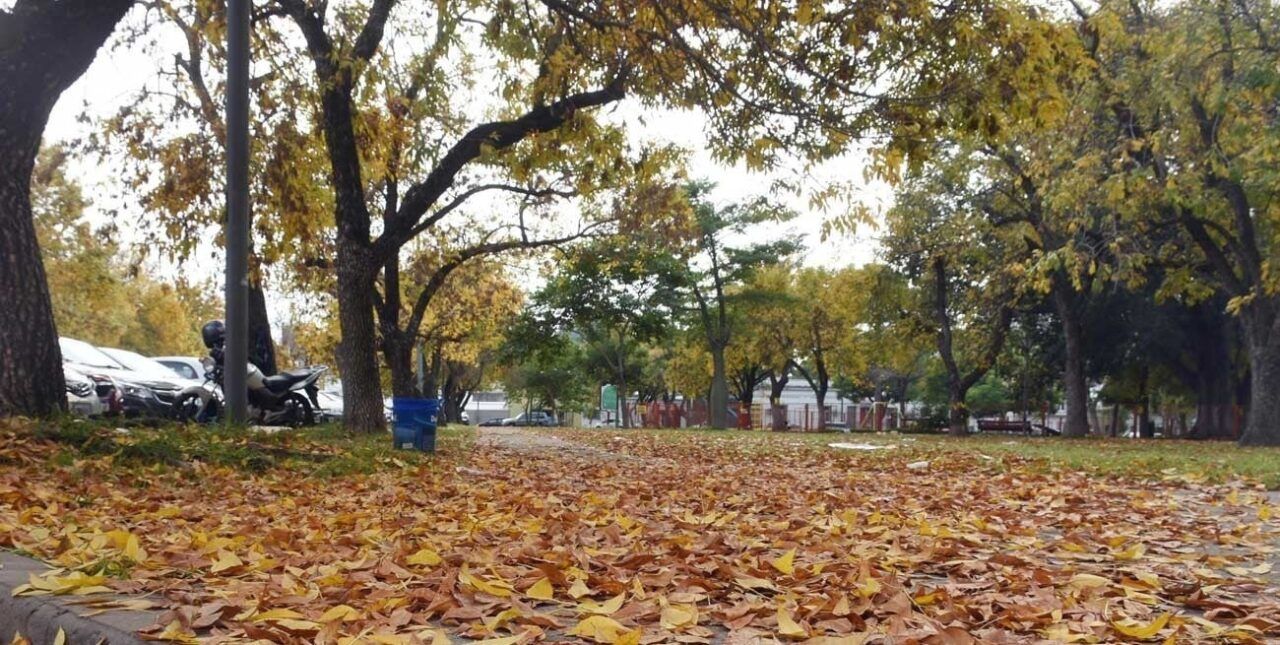 El amanecer dominical muestra una típica postal del otoño. Foto: Ilustración