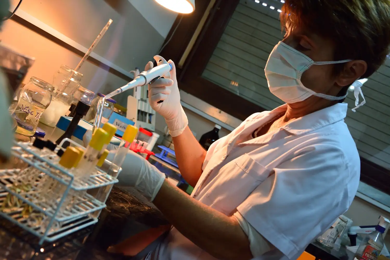 En el Conicet preocupa la situaciòn en torno a la designación de las becas doctorales.