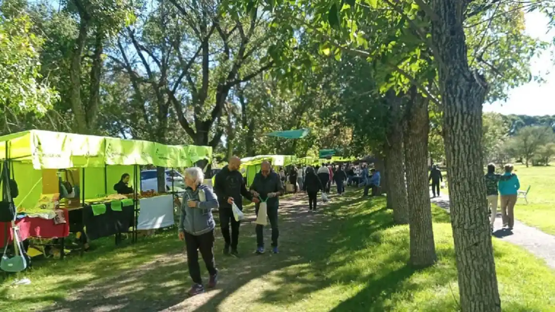 Hay ferias y paseos para disfrutar este fin de semana