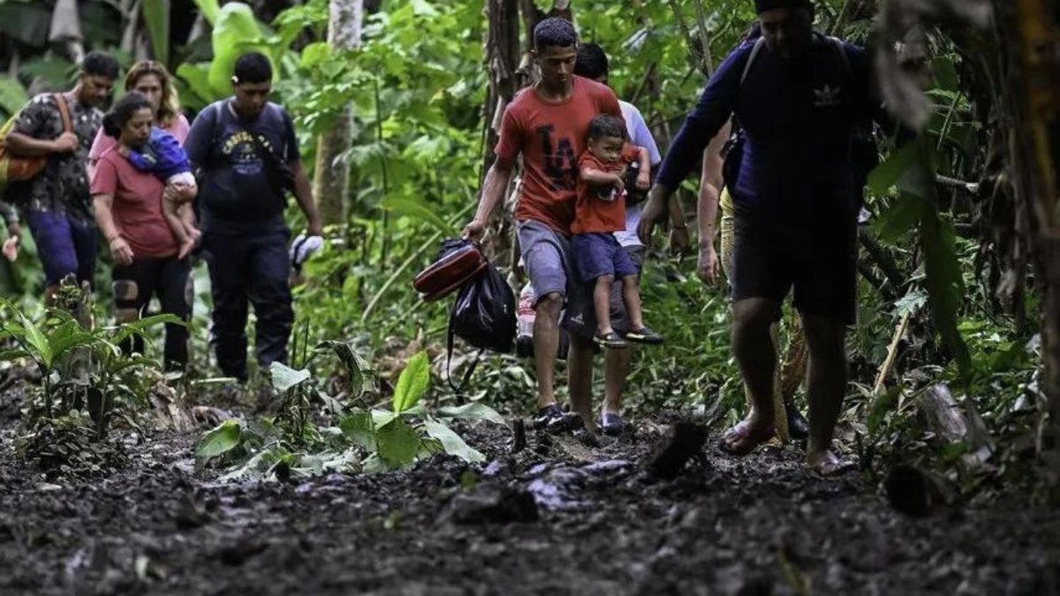 NUEVA OLA DE MIGRACIÓN MASIVA POR EL DARIÉN: los venezolanos son los primeros en la lista