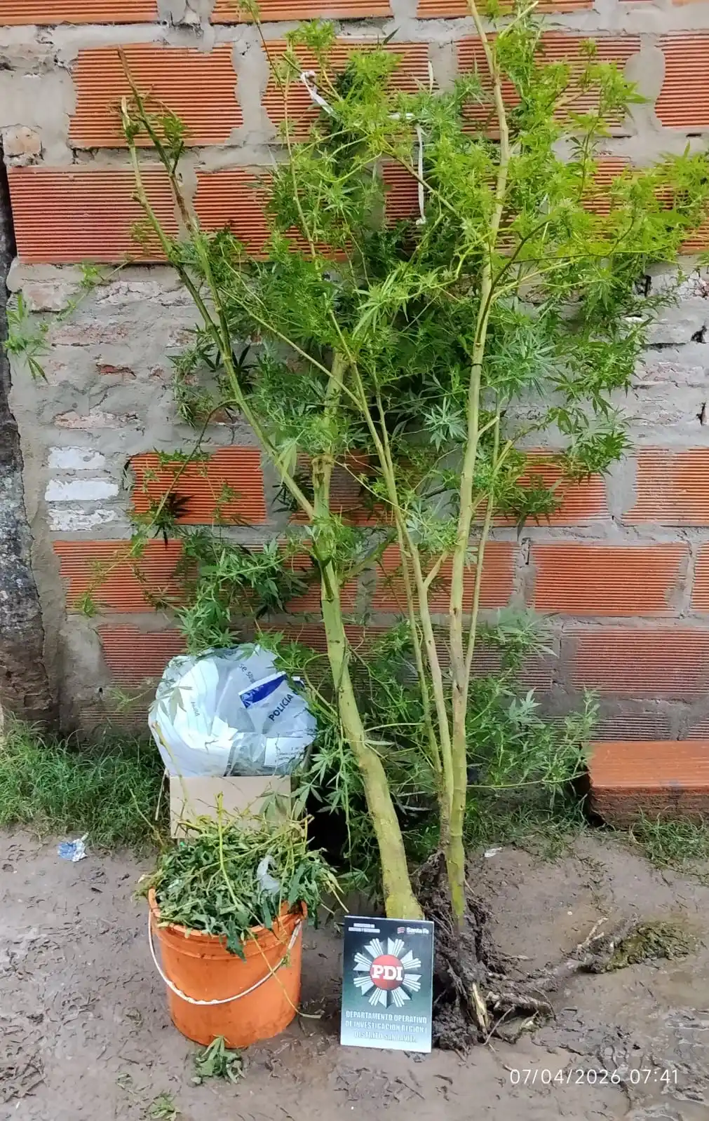 La PDI detuvo a un hombre por robo a mano armada y microtráfico de drogas - 2