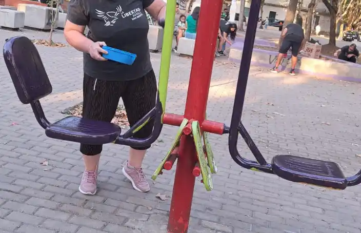 "El espacio público no es una unidad básica": en San Martín denuncian a militantes por pintar plazas con colores de LLA