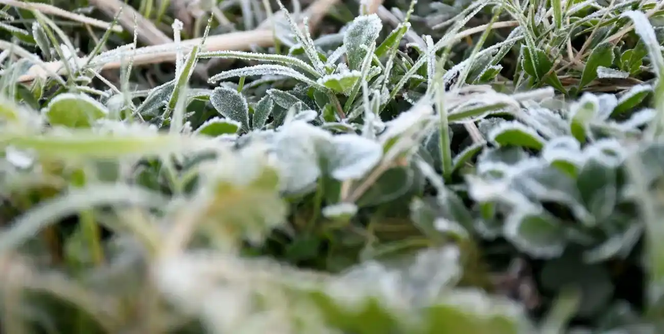 El campo enfrentará pocas lluvias y un nuevo ingreso de aire polar con heladas