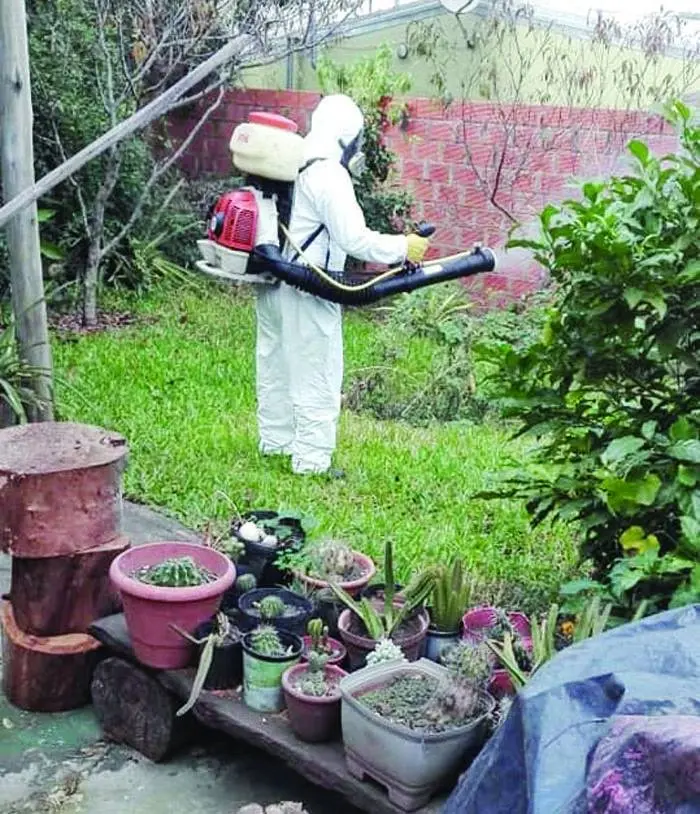 Prevención del Dengue  en La Bianca