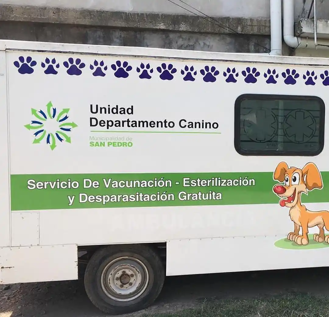 Rabia en San Pedro: vacunan a mascotas en la zona donde detectaron un caso