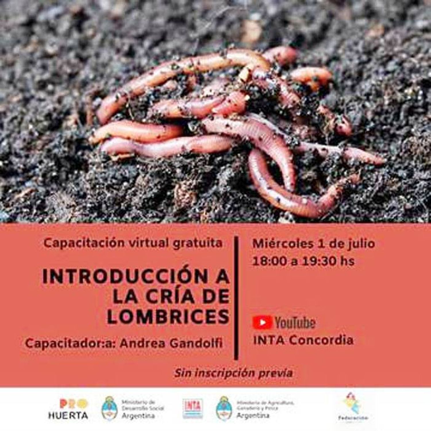 Capacitación Virtual, Introducción a la cría de lombrices