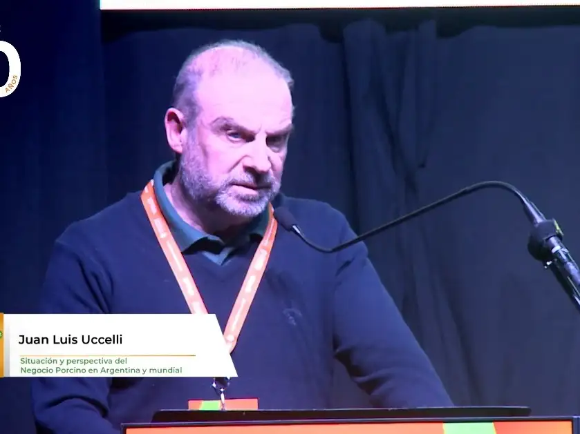 Juan Luis Uccelli, consultor especializado en porcinos.