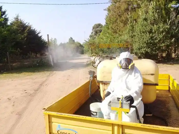 Intensa labor de fumigación y desinfección preventiva  contra el dengue