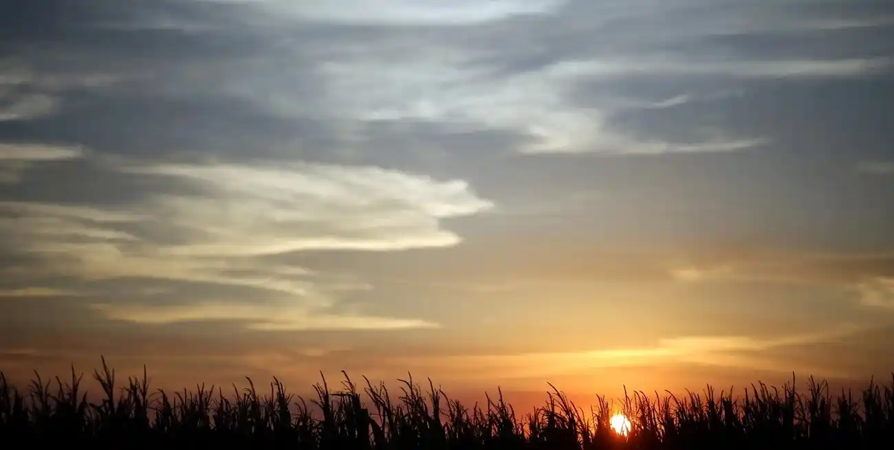 La Bolsa de Cereales advierte por fríos tardíos y calores intensos en amplias zonas agrícolas