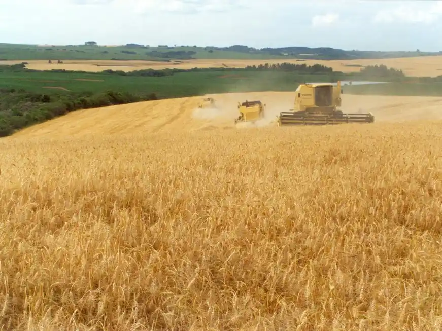 Se inicia  la siembra de soja y de sorgo, bajo condiciones de alta humedad