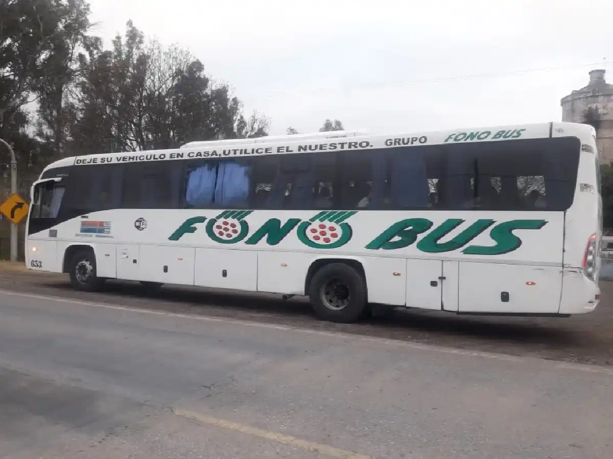 Robaron un Fonobus y lo abandonaron vomitado