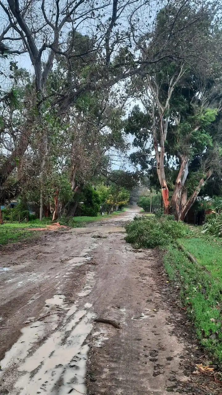 Claormoecó - 7