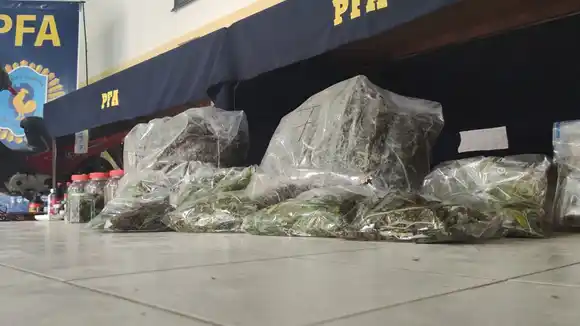 Operativo antidroga: secuestraron 10 kilos de marihuana y 500 gramos de cocaína