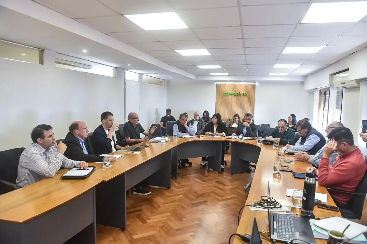 Transformación digital del Estado: el PJ propone límites a las contrataciones directas y más controles