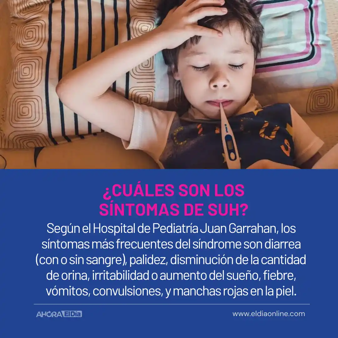 Síndrome Urémico Hemolítico: Cómo prevenir la enfermedad de la “Carne Cruda” - 9