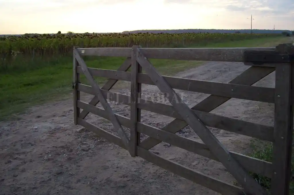 Nueva caída de la actividad inmobiliaria rural