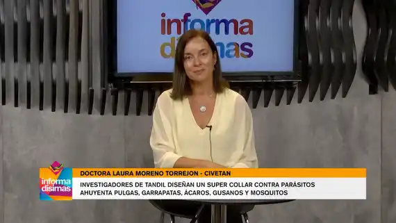 Investigadores de Tandil diseñaron un super collar ahuyenta pulgas, garrapatas, mosquitos
