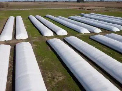 El 40 por ciento de la producción nacional se conserva en silobolsas