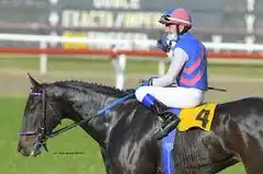 La yegua Doña Jalea va por el Clásico Joaquín Maqueda